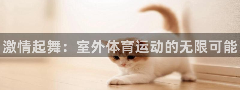 伟德国际登录入口：激情起舞：室外体育运动的无限可能