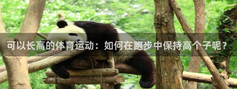 伟德国际体育平台登录入口：可以长高的体育运动：如何在跑步中保持高个子呢？