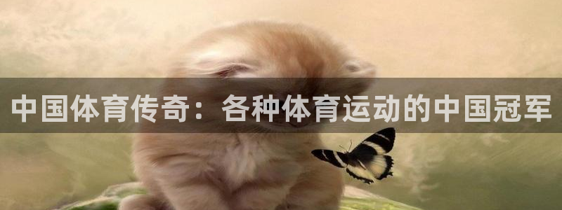 意昂3登录：中国体育传奇：各种体育运动的中国冠军