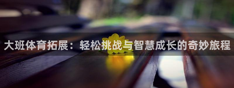 意昂4平台：大班体育拓展：轻松挑战与智慧成长的奇妙旅程