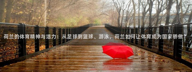 东莞市大朗意昂五金厂：荷兰的体育精神与活力：从足球到篮球、游泳，荷兰如何让体育成