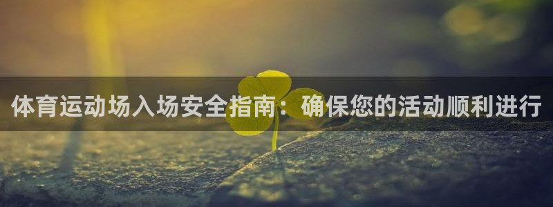 伟德国际电子有限公司：体育运动场入场安全指南：确保您的活动顺利进行