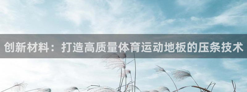 伟德国际凯捷注册：创新材料：打造高质量体育运动地板的压条技术