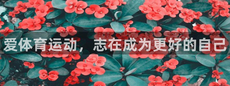 伟德国际能源：爱体育运动，志在成为更好的自己