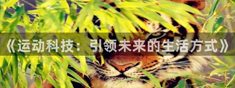 伟德国际平台注册：《运动科技：引领未来的生活方式》