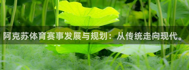 伟德国际体育凯捷登陆：阿克苏体育赛事发展与规划：从传统走向现代。