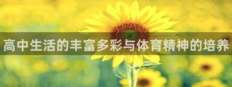 伟德国际4官网：高中生活的丰富多彩与体育精神的培养