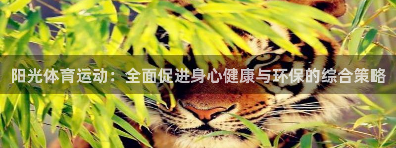 伟德国际5招商：阳光体育运动：全面促进身心健康与环保的综合策略