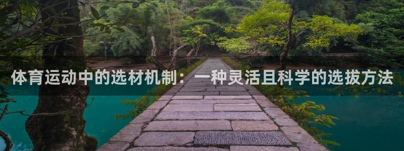 www.伟德国际体育.com：体育运动中的选材机制：一种灵活且科学的选拔方法