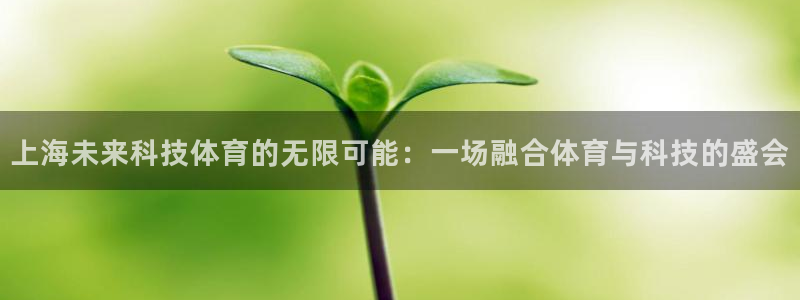 意昂包怎么样：上海未来科技体育的无限可能：一场融合体育与科技的盛会