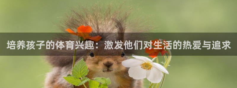 伟德国际2体育：培养孩子的体育兴趣：激发他们对生活的热爱与追求