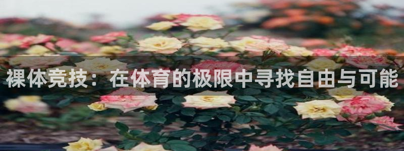 伟德国际体育平台开号链接：裸体竞技：在体育的极限中寻找自由与可能