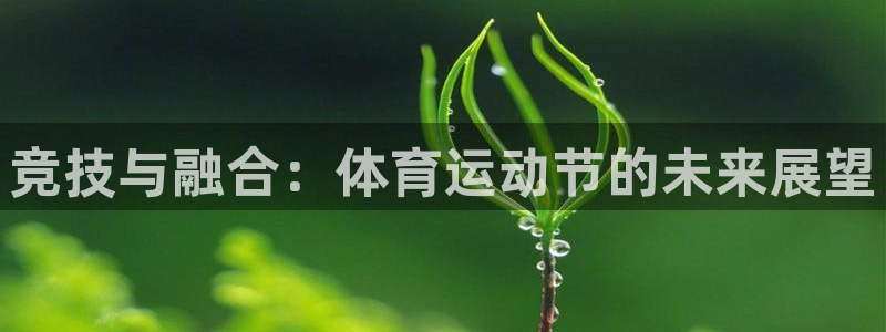 伟德国际官网注册：竞技与融合：体育运动节的未来展望