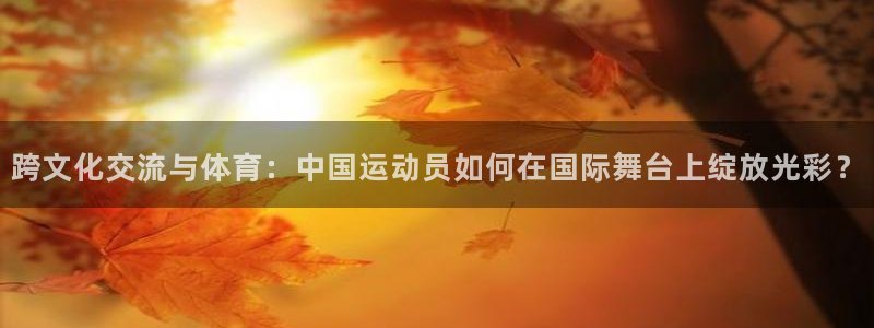 伟德国际4代理：跨文化交流与体育：中国运动员如何在国际舞台上绽放光彩？