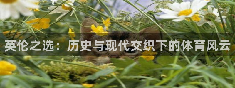 伟德国际3登录：英伦之选：历史与现代交织下的体育风云